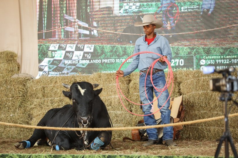 Instituto recebe R$ 5 milhões para evento...