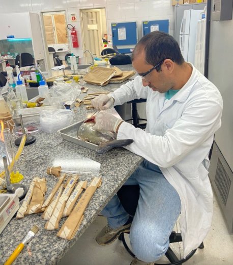 Especialistas reforçam segurança do pescado em Cuiabá...