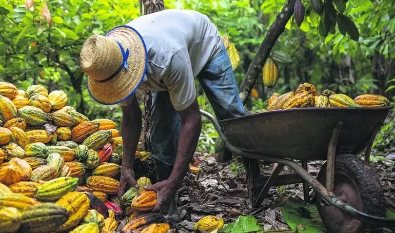 Por que o ovo de Páscoa continua caro mesmo com a queda do preço do cacau...