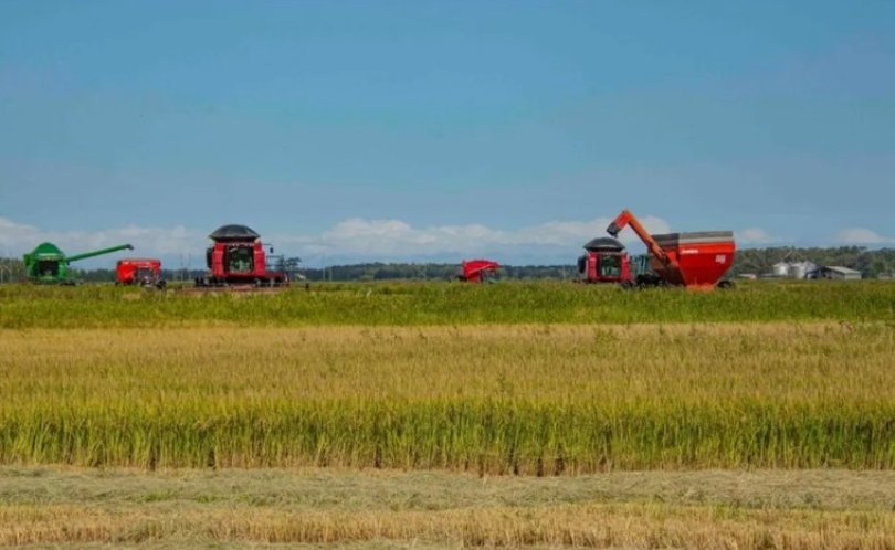 Grupo do agro que deve R$ 21,4 mi fica "blindado" de cobranças...