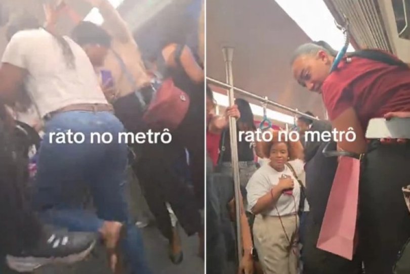 Rato invade vagão feminino do metrô e causa pânico...