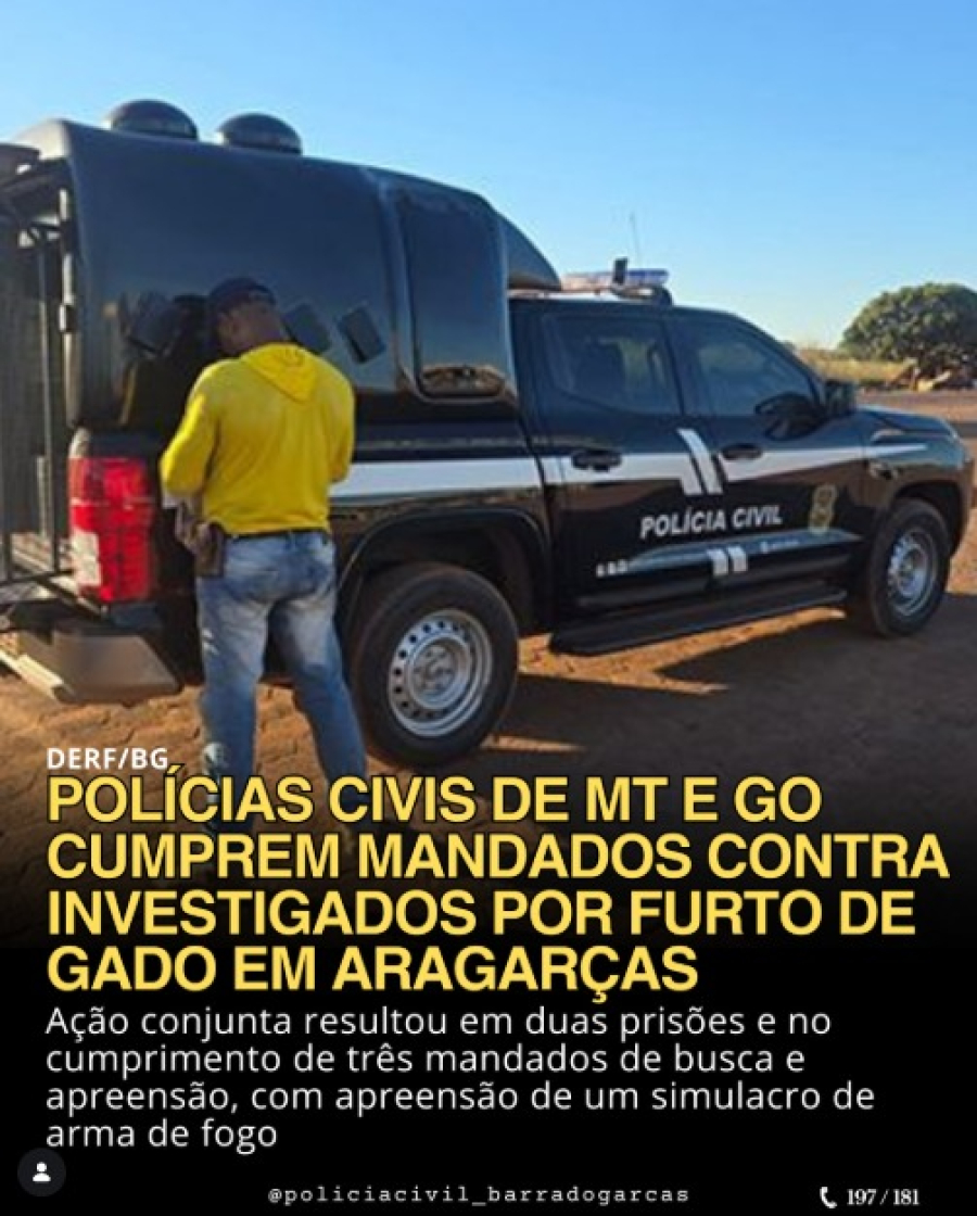 Policiais civis de MT e GO cumprem mandados contra investigados por furto de gado em Aragarças.