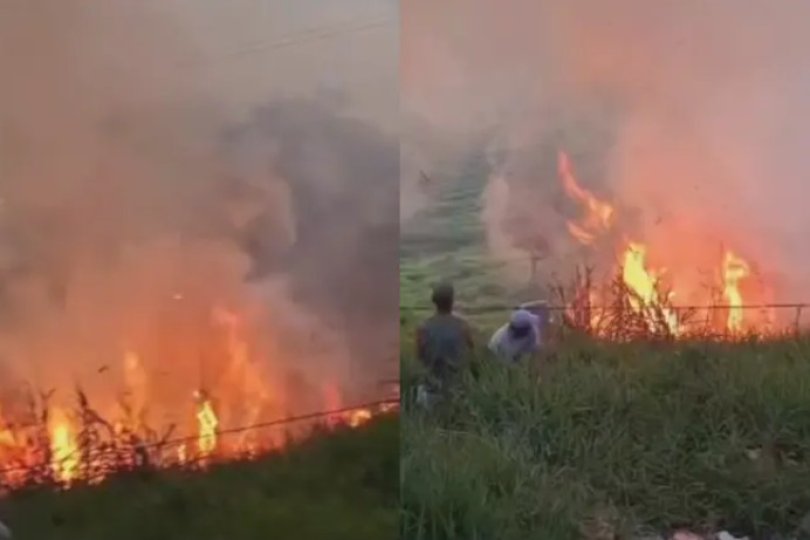 Festa de chá revelação termina em incêndio que destrói vegetação de rancho...