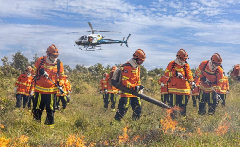 Bombeiros combatem nove incêndios florestais neste sábado ...