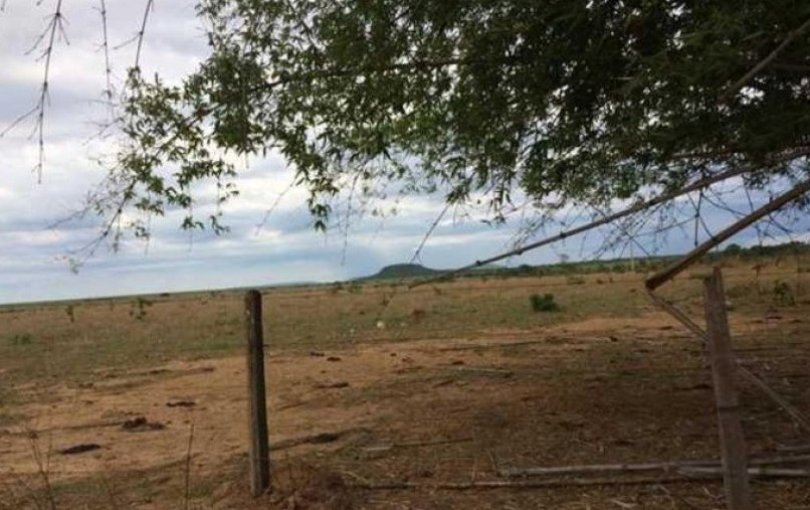 MT registra 21 conflitos por terra e um assassinato em 6 meses...