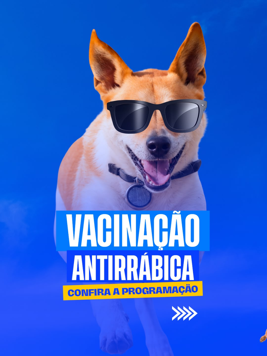 Prefeitura de Barra do Garças inicia campanha de vacinação antirrábica na zona rural nesta quarta (09); Confira o cronograma