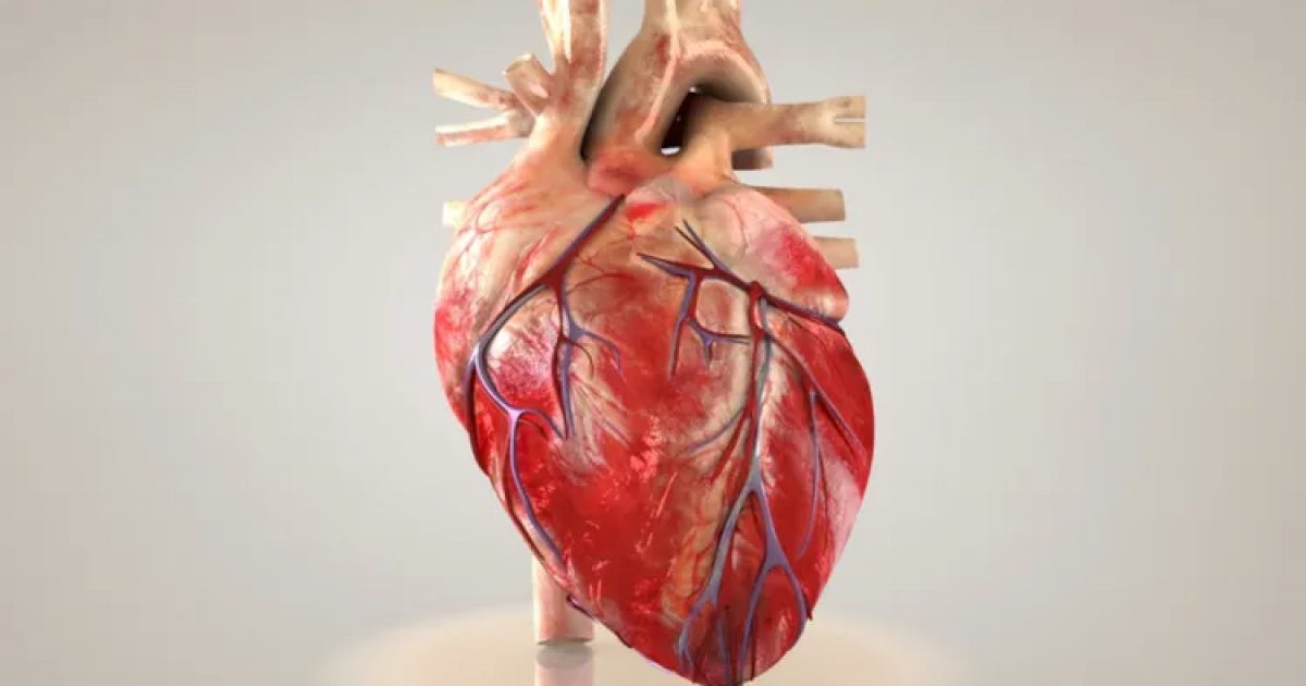 A cada 72 segundos, uma pessoa morre por doença cardiovascular no país