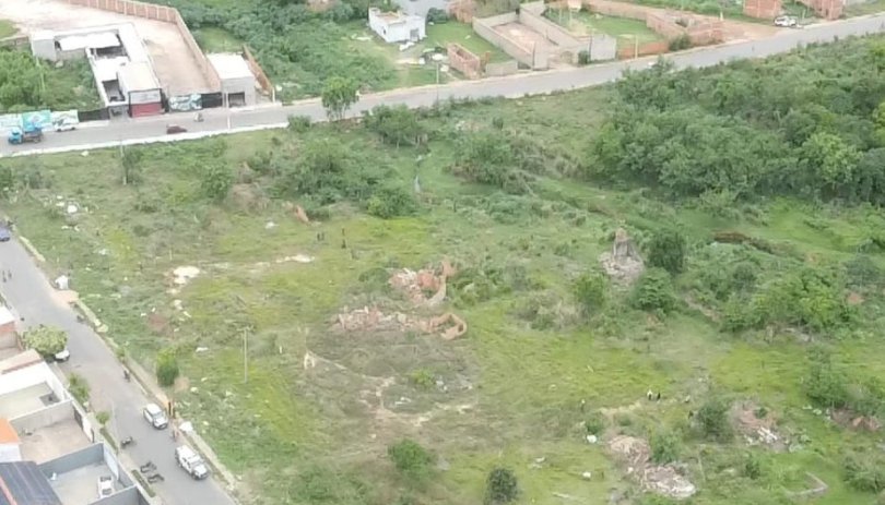 PM 9 por invadir chácara no Contorno Leste e desmatar  área de preservação...